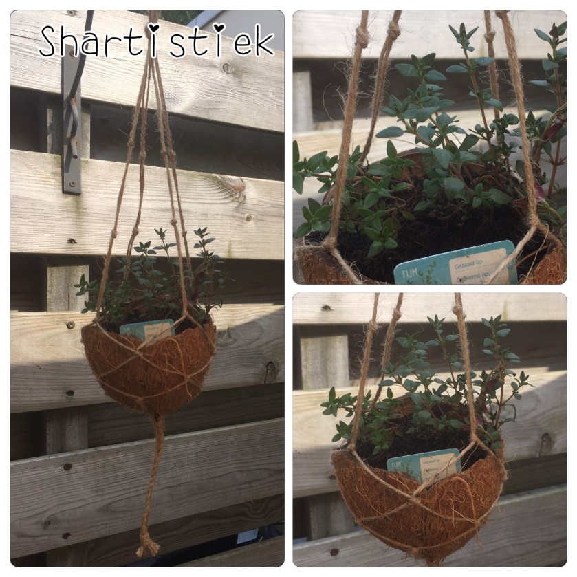 Kokosnoot hangpotje Kokosnoot hangpotje