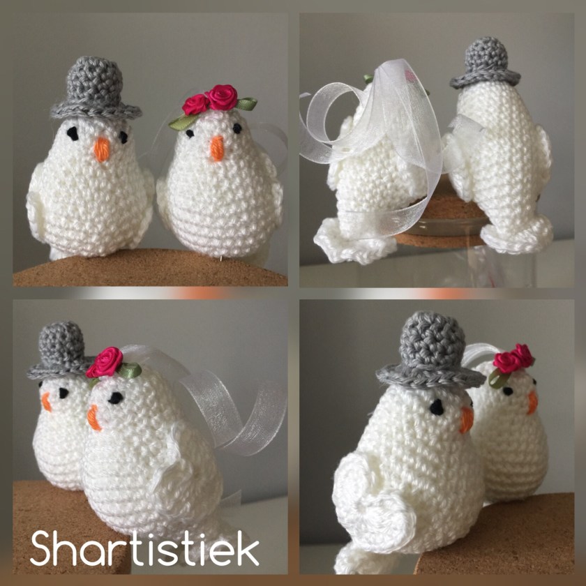 Lovebirds / tortelduifjes